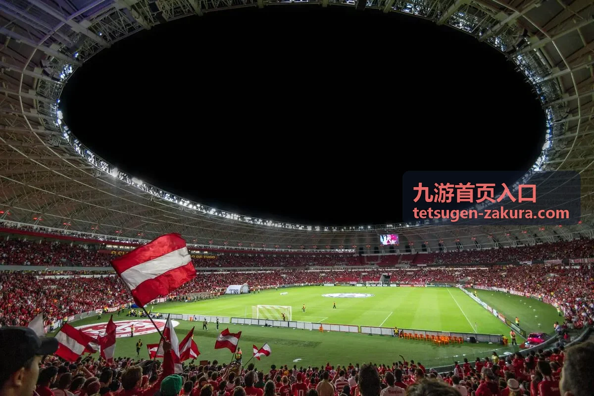 九游首页入口平台客户端下载入口示意