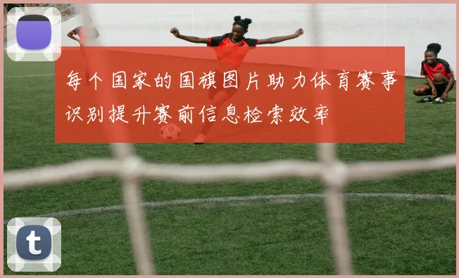 每个国家的国旗图片助力体育赛事识别提升赛前信息检索效率