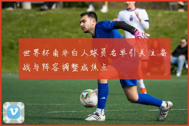 世界杯南非白人球员名单引关注 备战与阵容调整成焦点