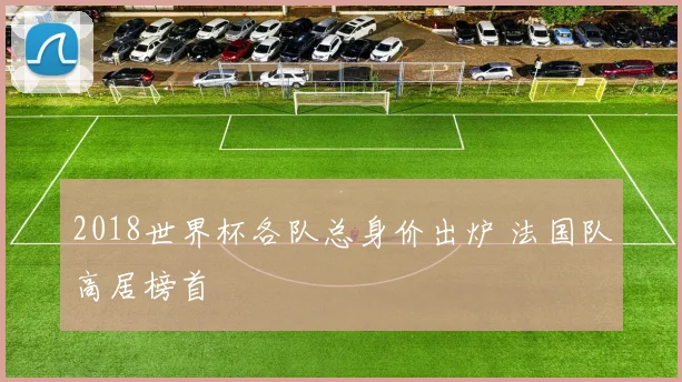 2018世界杯各队总身价出炉 法国队高居榜首