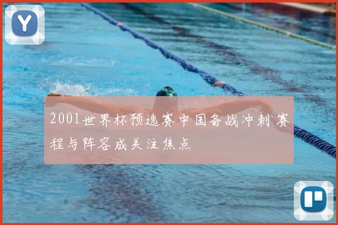 2001世界杯预选赛中国备战冲刺 赛程与阵容成关注焦点