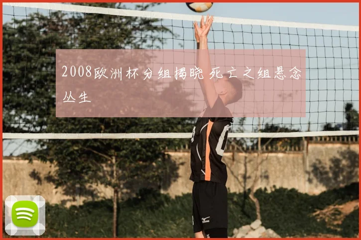 2008欧洲杯分组揭晓 死亡之组悬念丛生