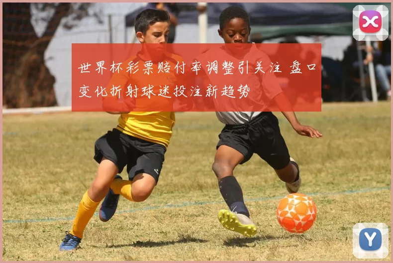 世界杯彩票赔付率调整引关注 盘口变化折射球迷投注新趋势