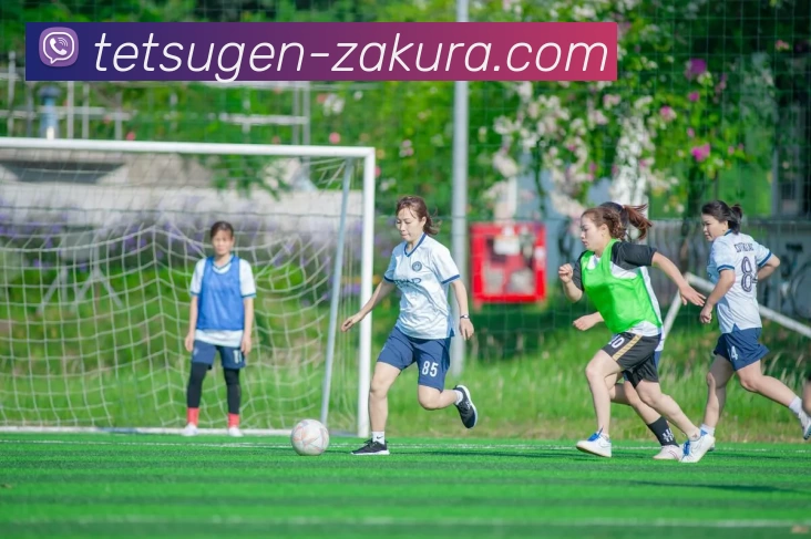 App Interface Preview